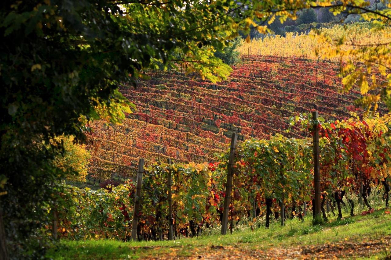ホテル Cascina Tre Botti アリアーノ・テルメ エクステリア 写真